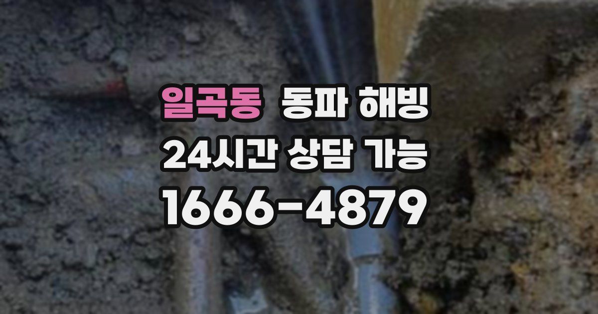 일곡동 동파 해빙