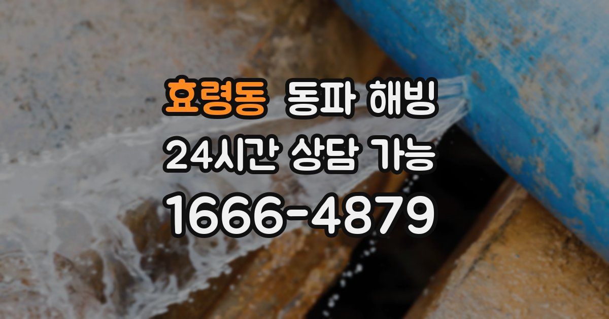 효령동 동파 해빙