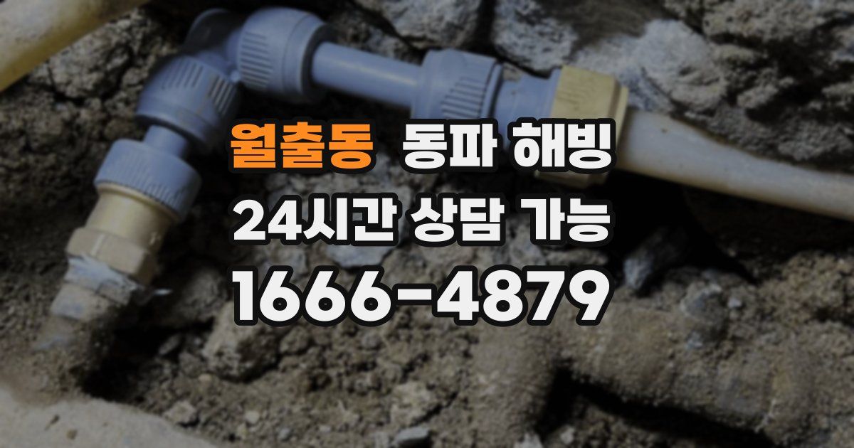 월출동 동파 해빙