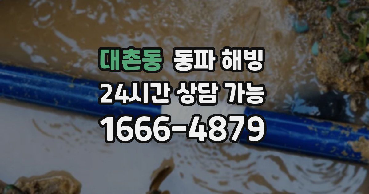 대촌동 동파 해빙