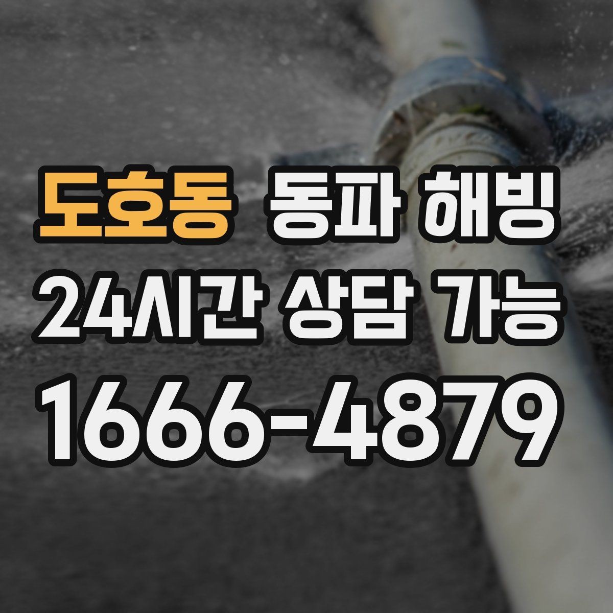 도호동 동파 해빙 급수 중단인데 옆집은 괜찮을 때
