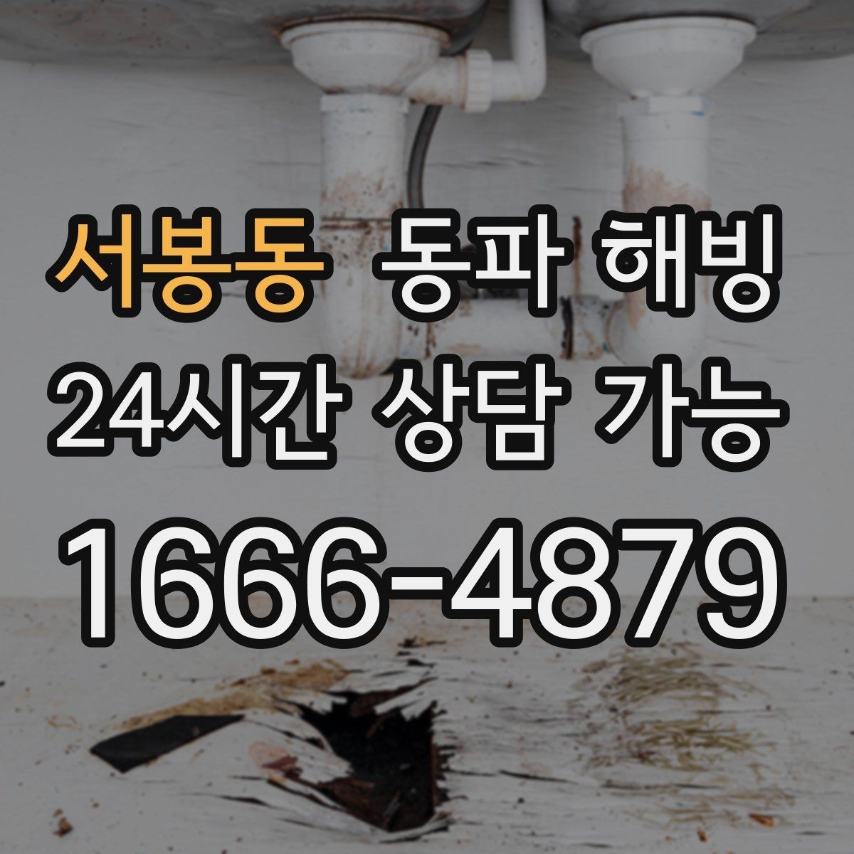 서봉동 동파 해빙 마당 수도만 막히는 결빙 패턴 정리