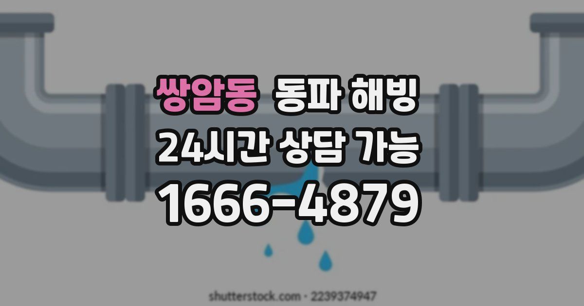 쌍암동 동파 해빙