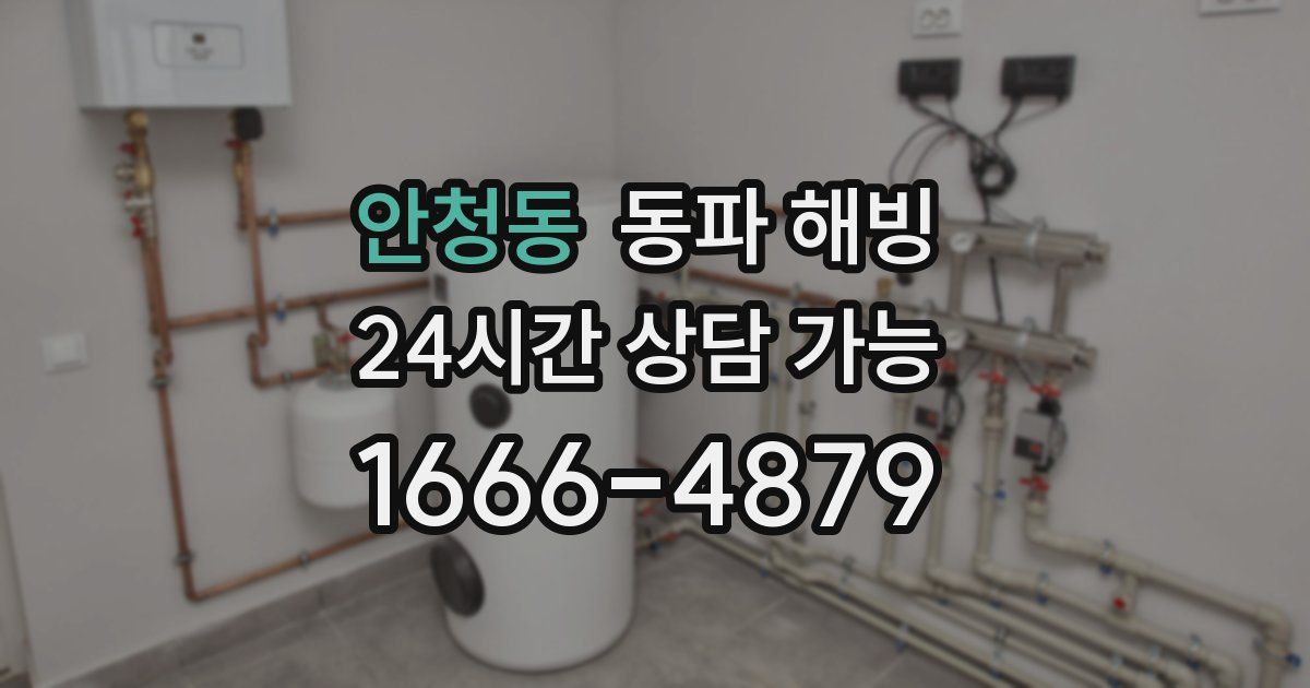 안청동 동파 해빙