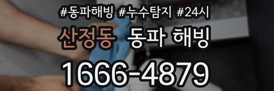 산정동 동파