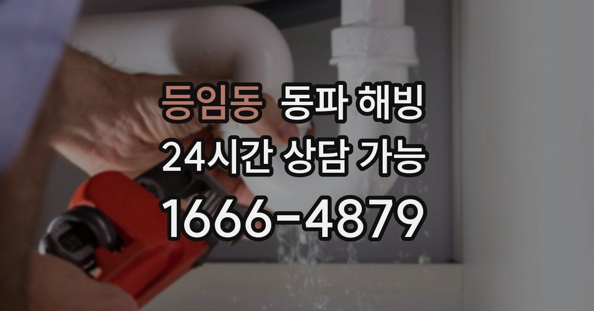 등임동 동파 해빙