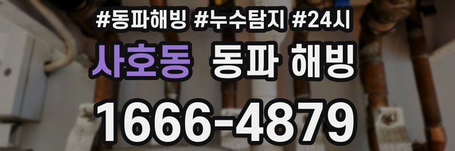 사호동 동파