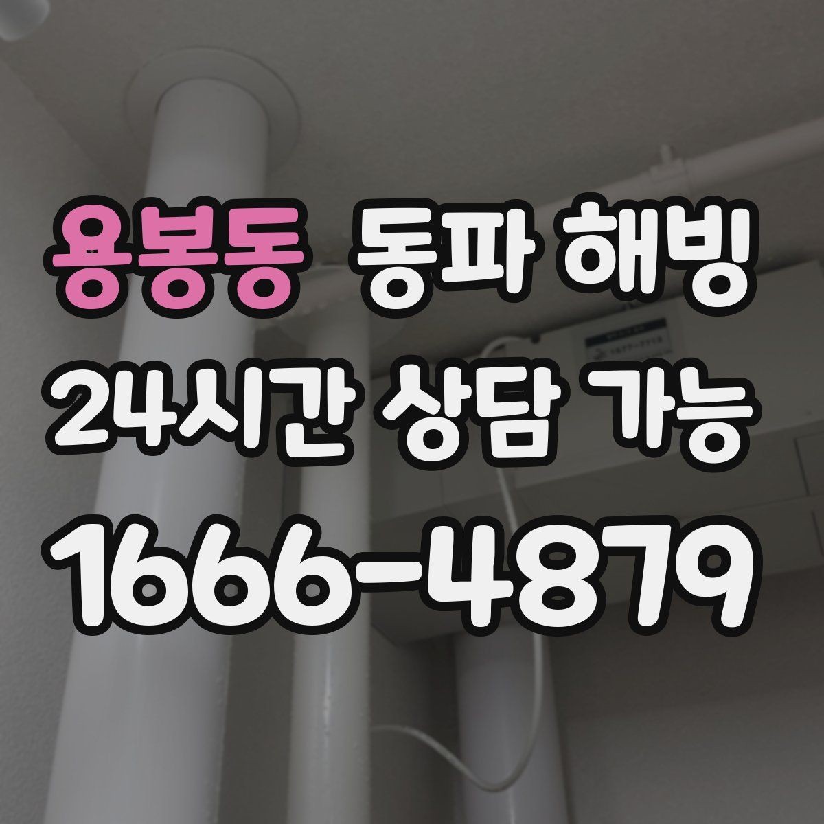 용봉동 동파 해빙 재발이 잦은 배관 구조 한 번에 정리