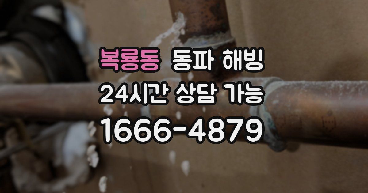 복룡동 동파 해빙