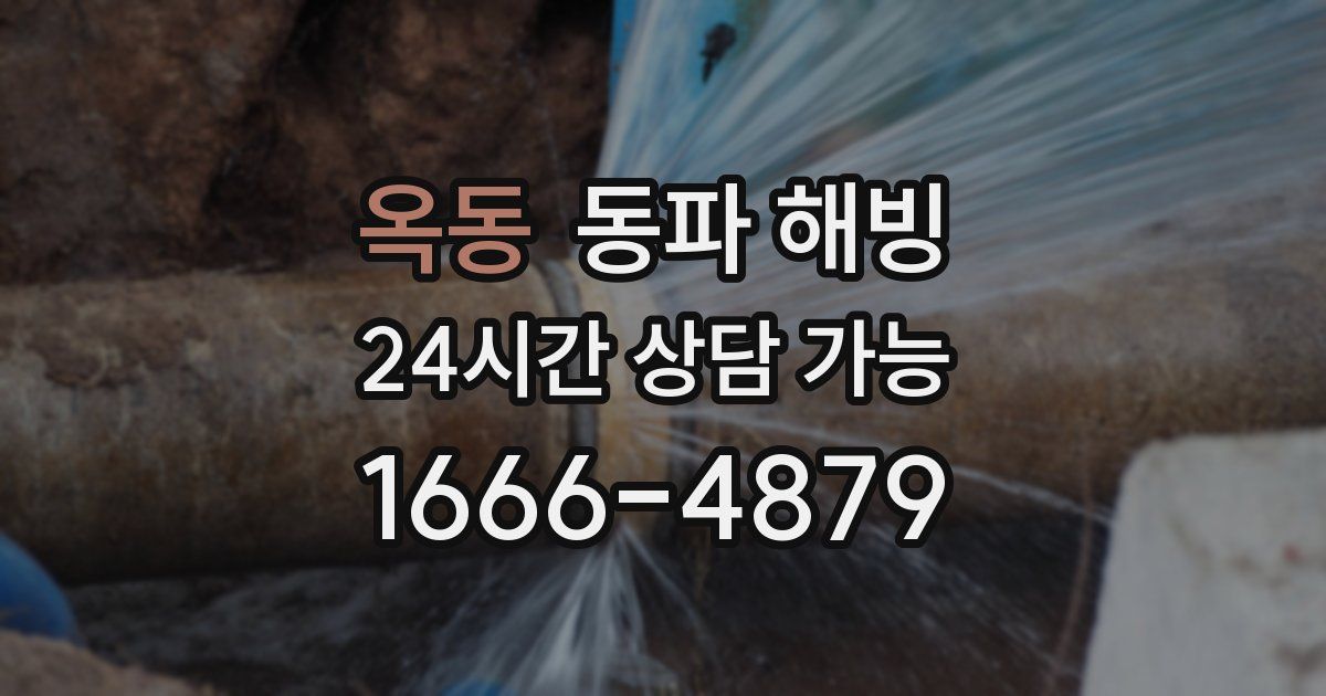 옥동 동파 해빙