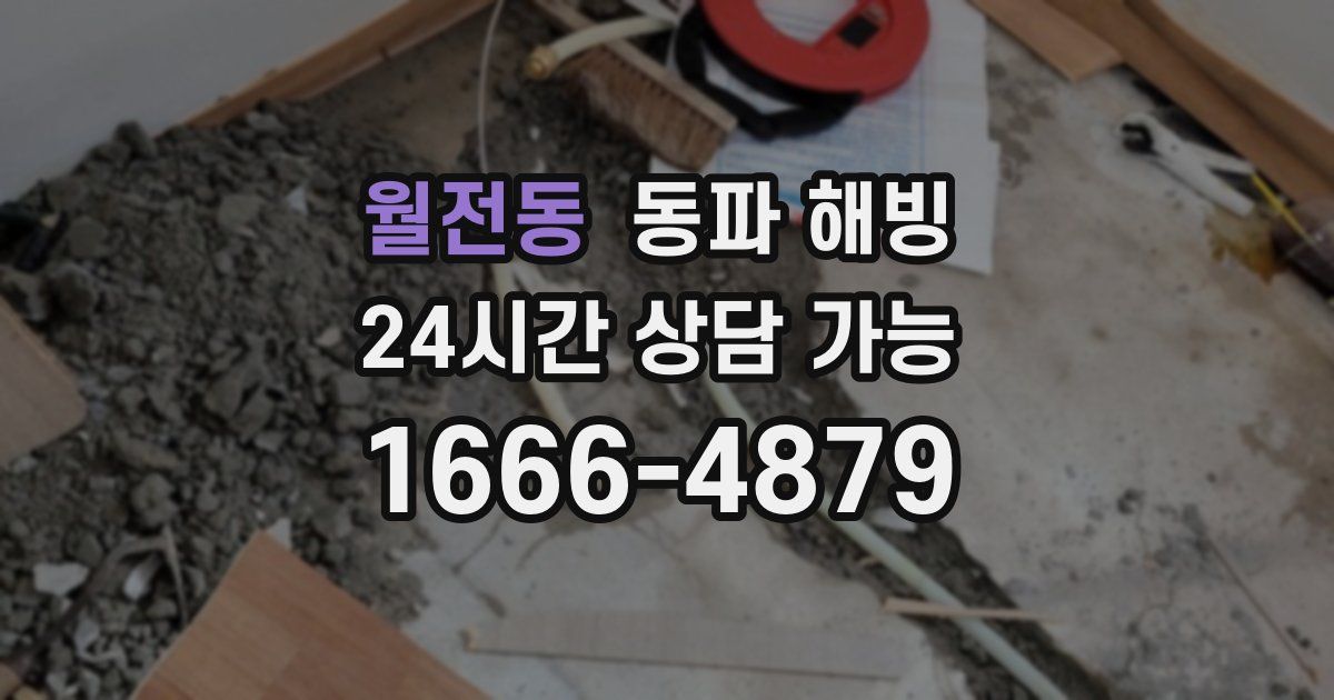 월전동 동파 해빙