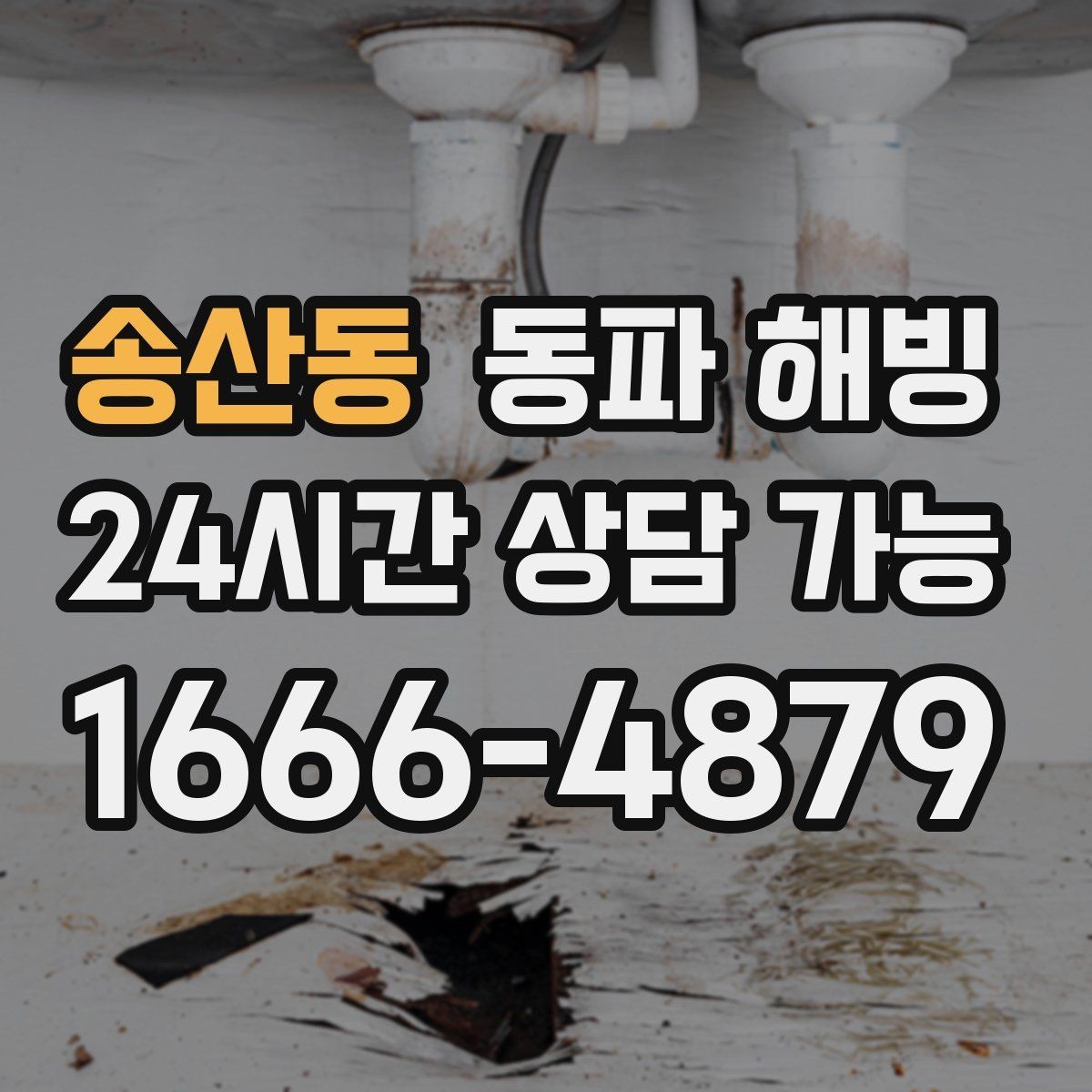 송산동 동파 해빙 현장 점검은 어떤 순서로 진행될까