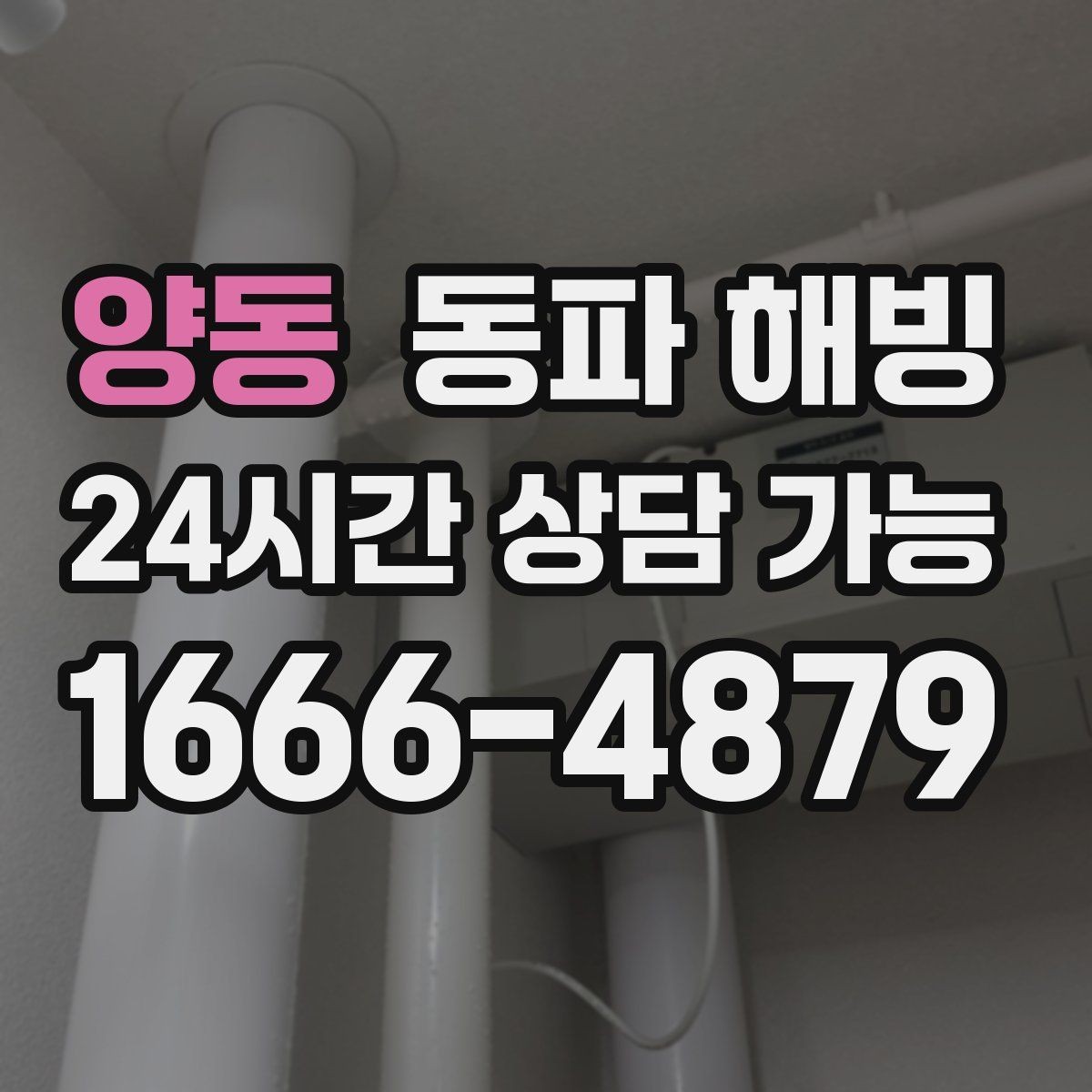 양동 동파 해빙 현장 점검은 어떤 순서로 진행될까