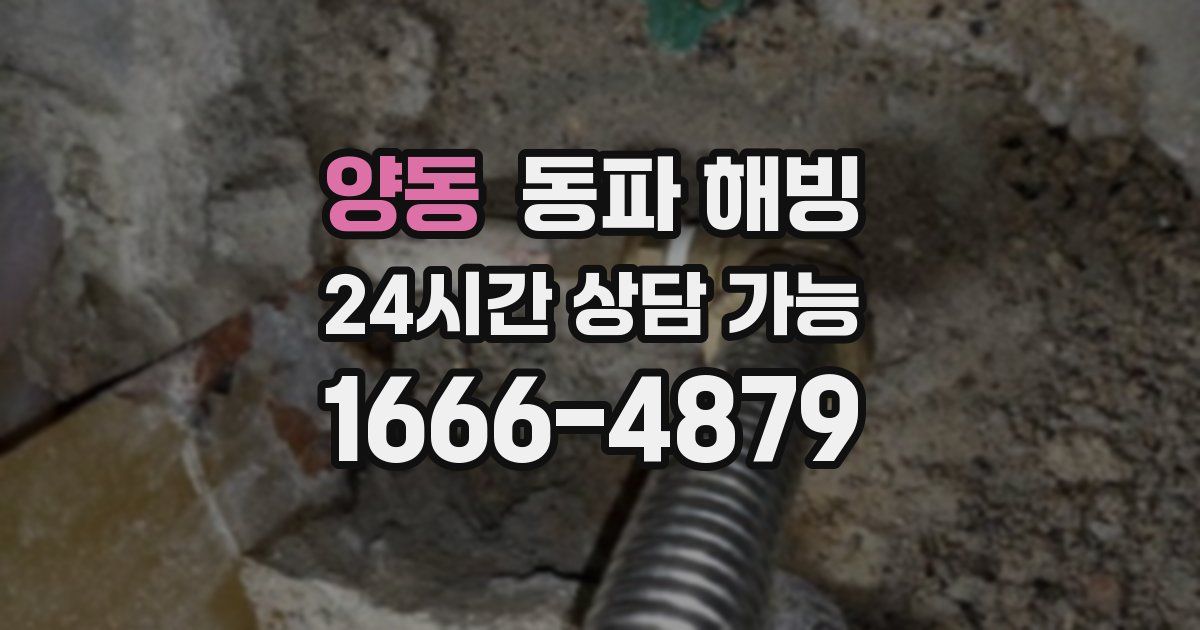 양동 동파 해빙