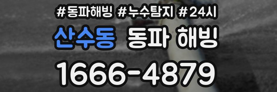 산수동 동파