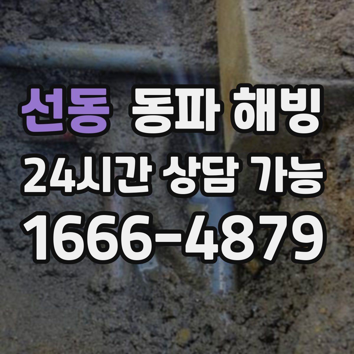 선동 동파 해빙 기온 급강하 때 취약 구간 먼저 보기