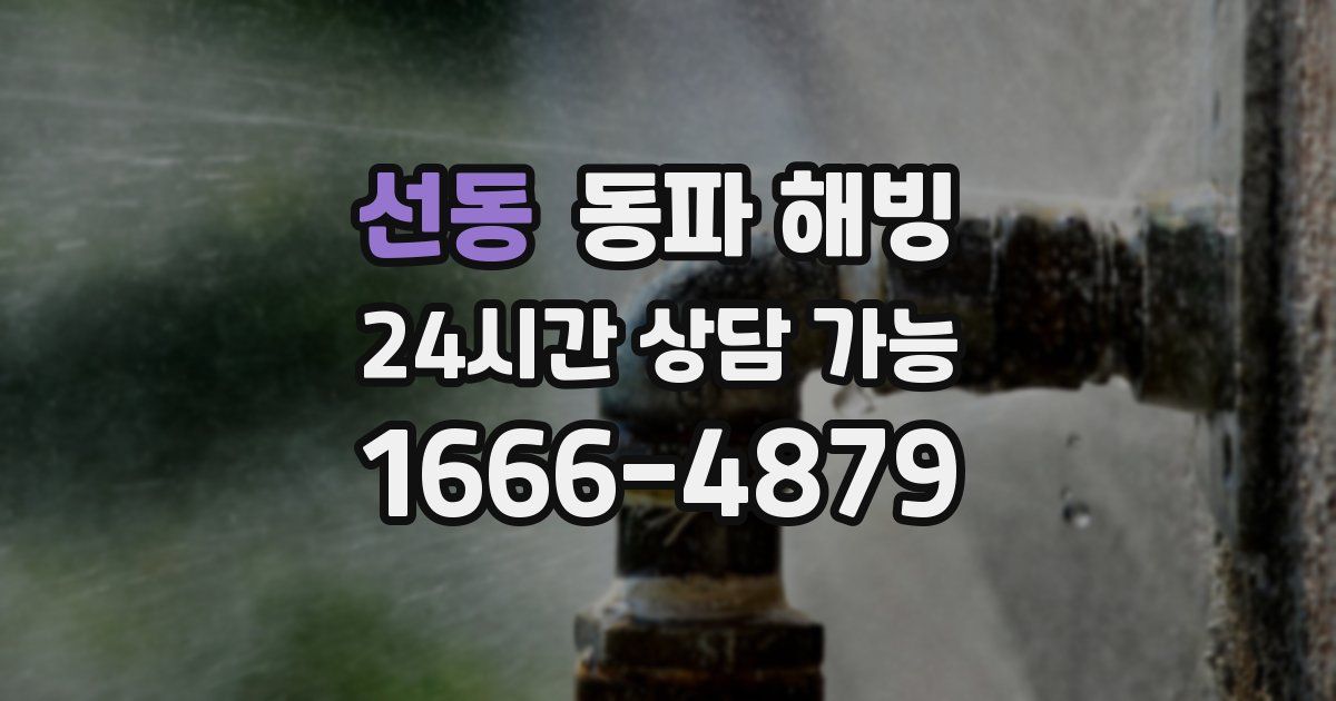 선동 동파 해빙