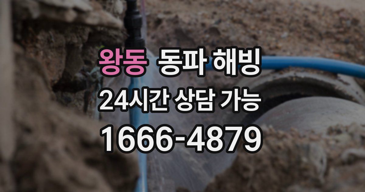 왕동 동파 해빙