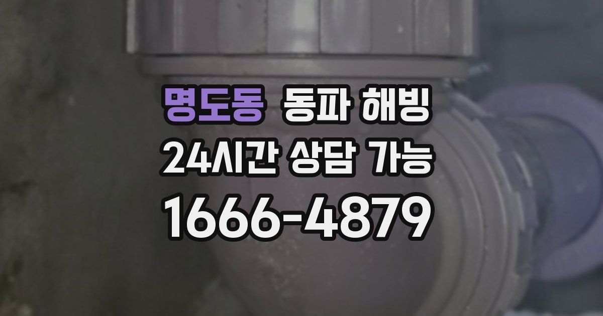 명도동 동파 해빙