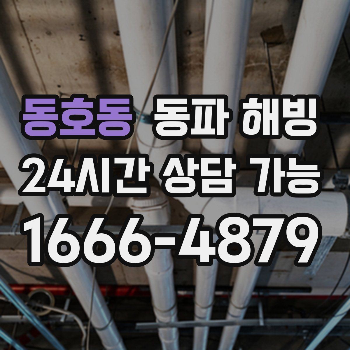 동호동 동파 해빙 현장 방문 전에 준비하면 좋은 정보
