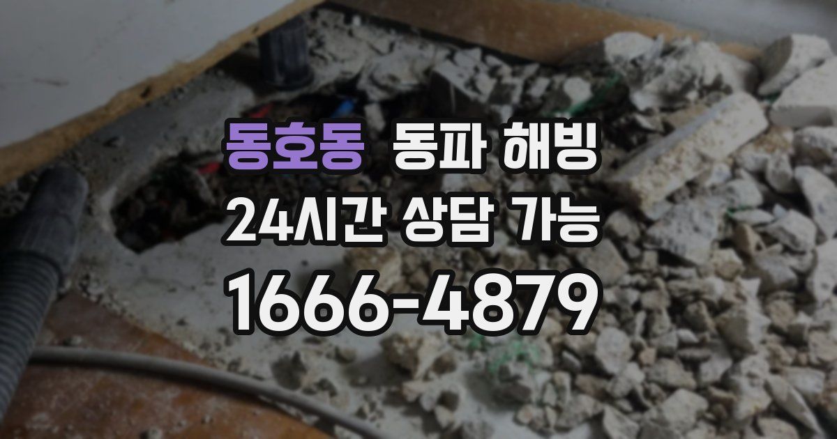 동호동 동파 해빙