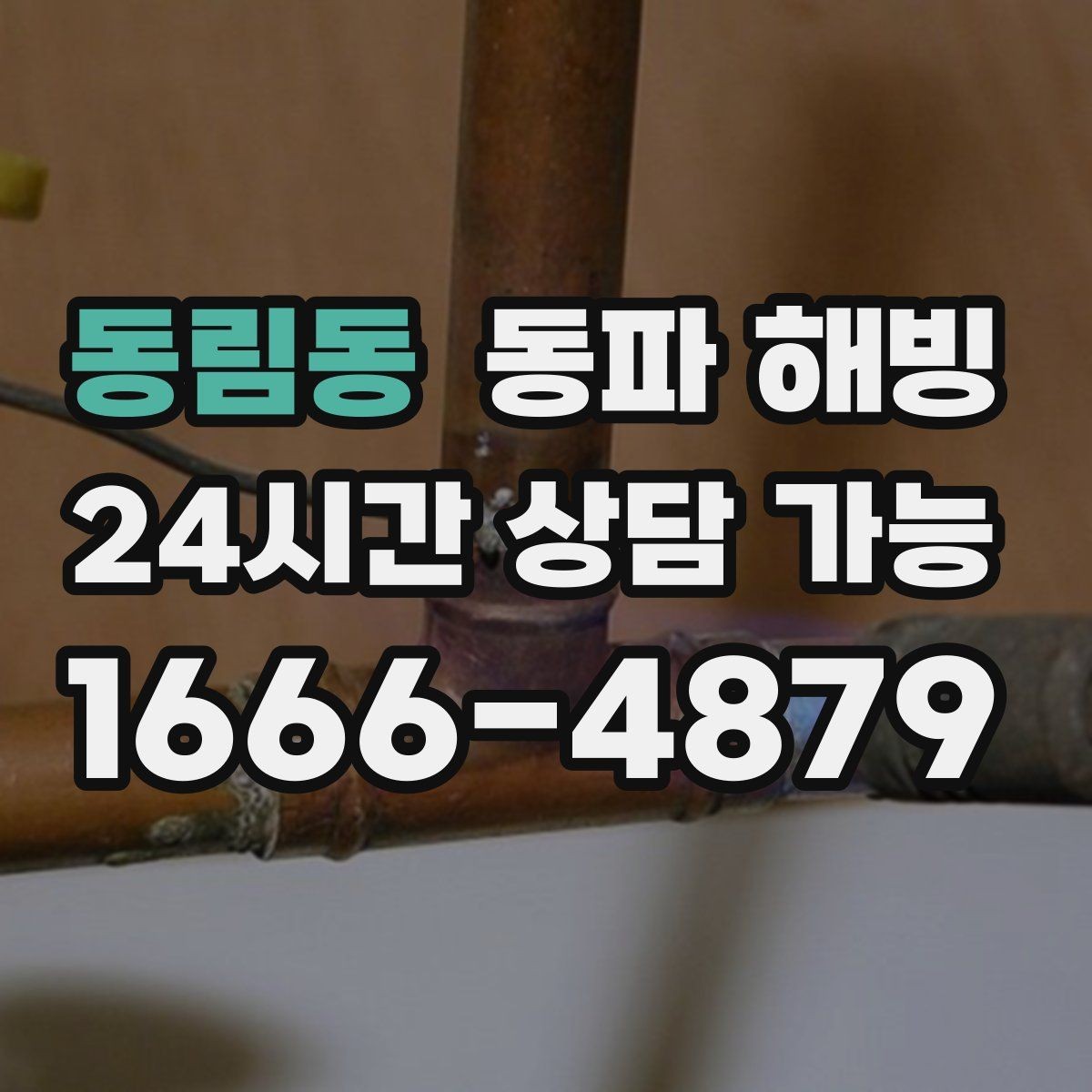 동림동 동파 해빙 외부 수도꼭지 결빙 증상과 대응