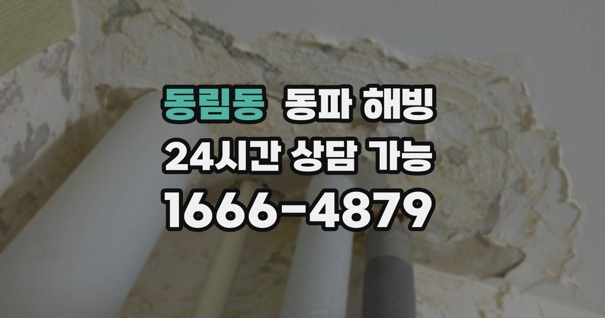 동림동 동파 해빙