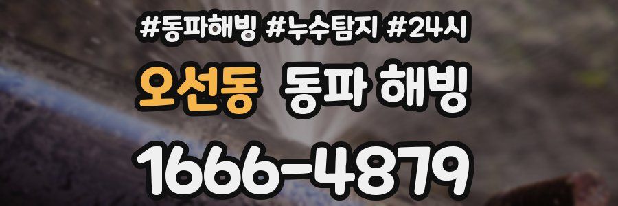 오선동 동파