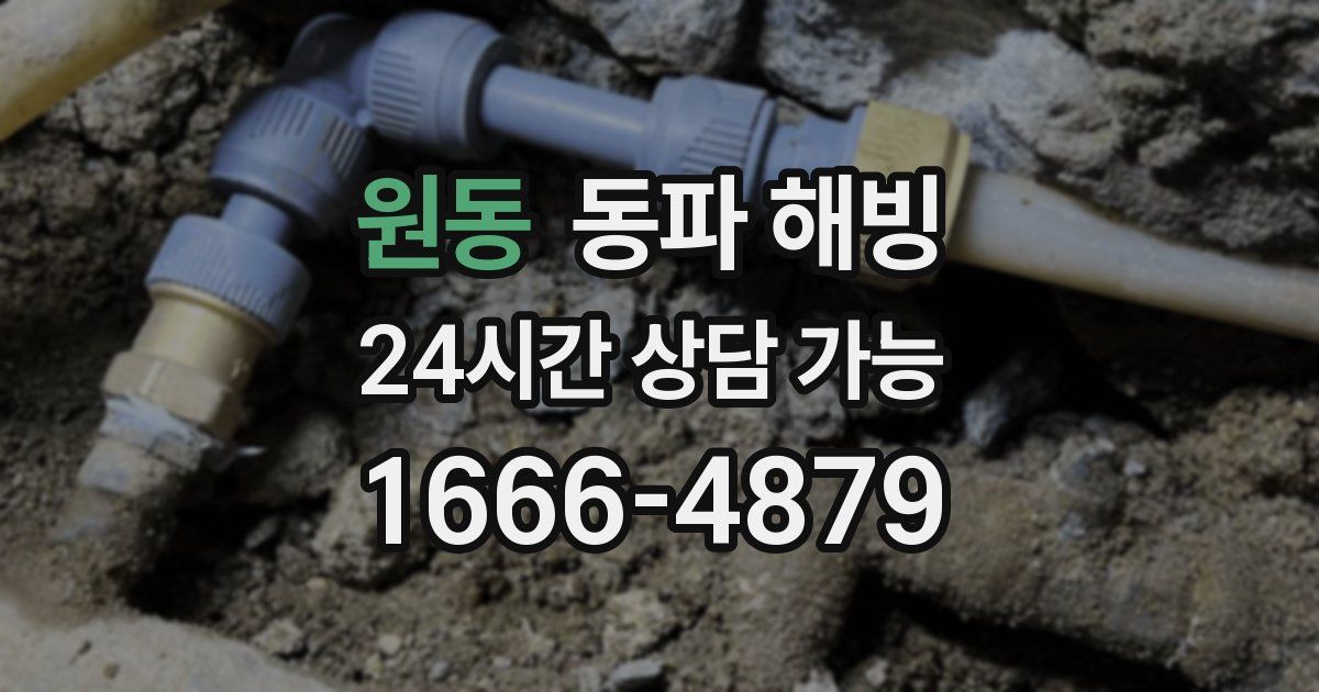 원동 동파 해빙