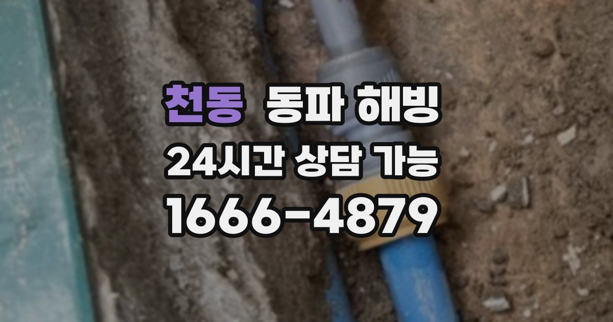 천동 동파 해빙