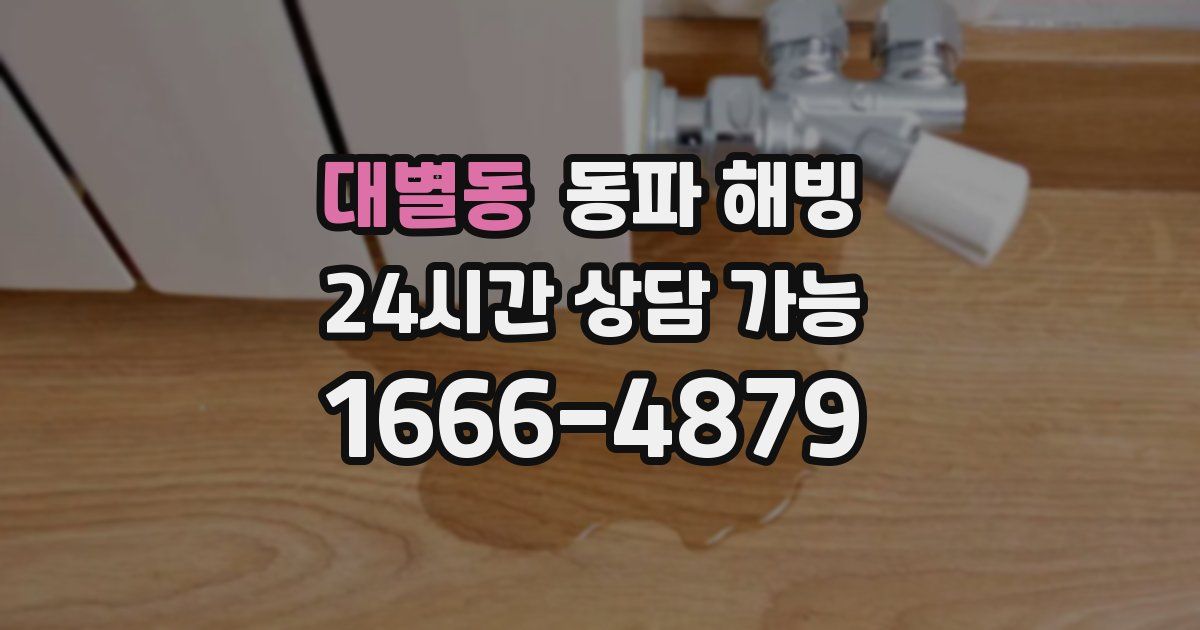 대별동 동파 해빙