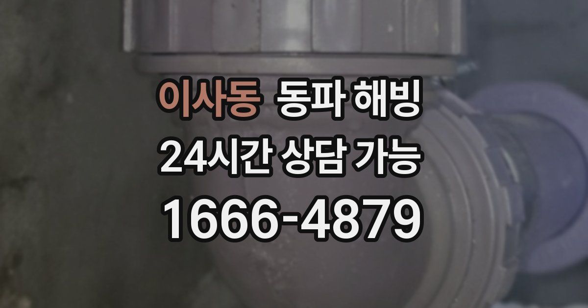 이사동 동파 해빙