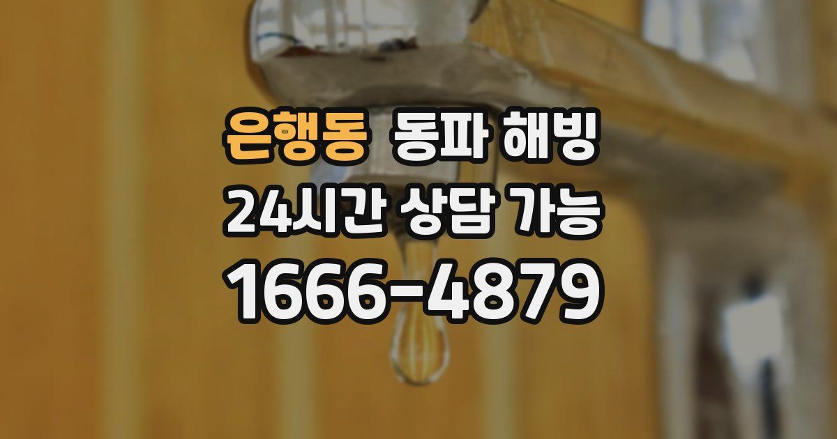 은행동 동파 해빙