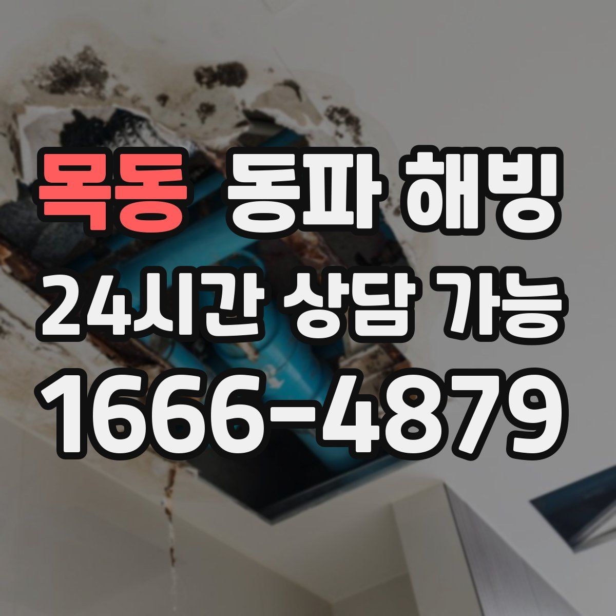 목동 동파 해빙 급수 라인 결빙은 왜 생기고 어떻게 줄일까