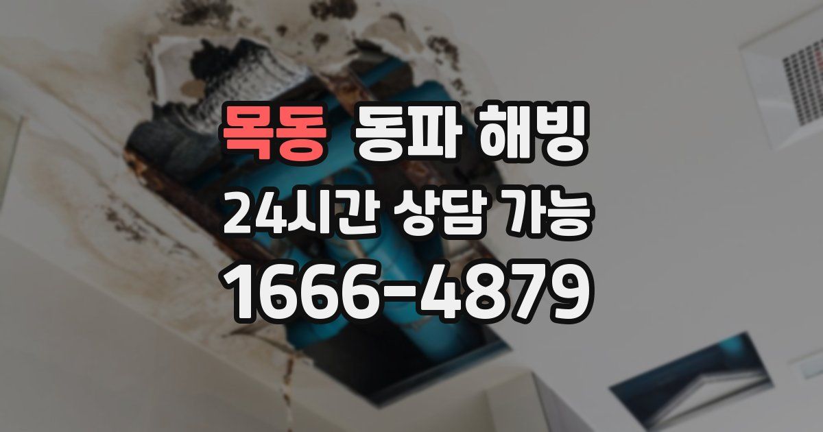 목동 동파 해빙