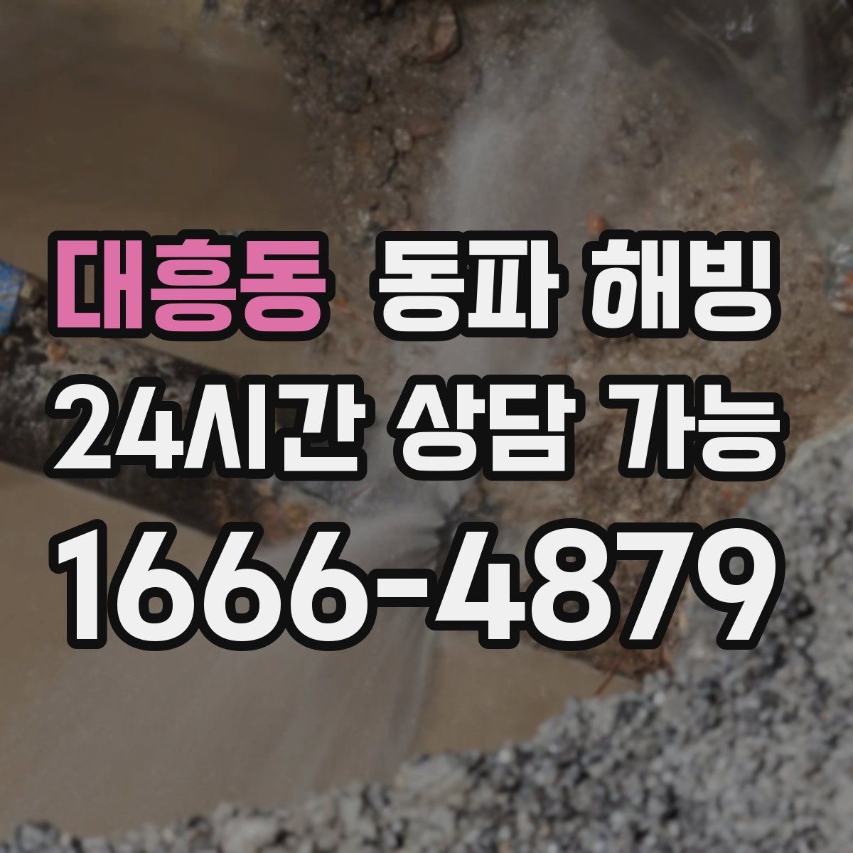 대흥동 동파 해빙 베란다 주방 욕실 결빙 위치별 대응 정리