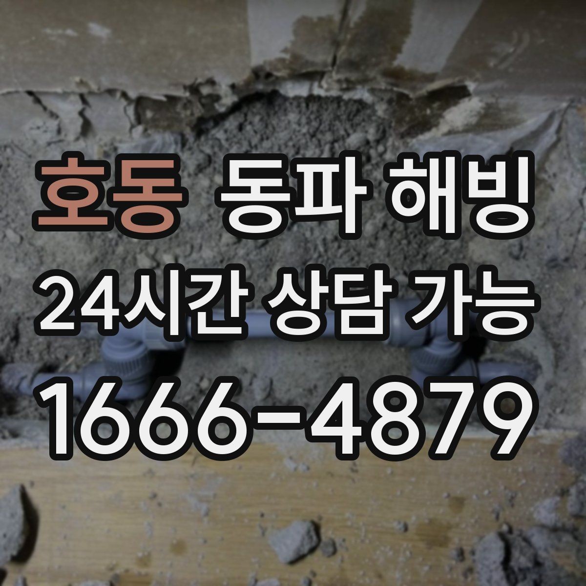 호동 동파 해빙 마당 수도 결빙 증상별 점검
