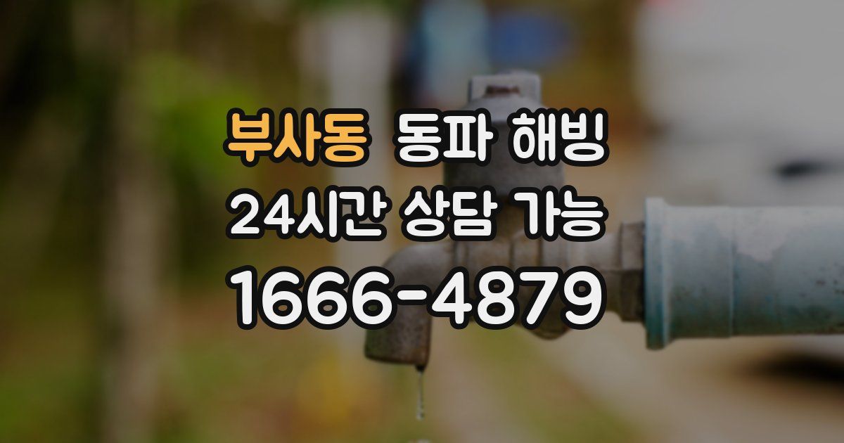 부사동 동파 해빙