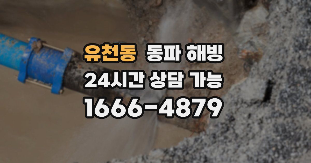 유천동 동파 해빙