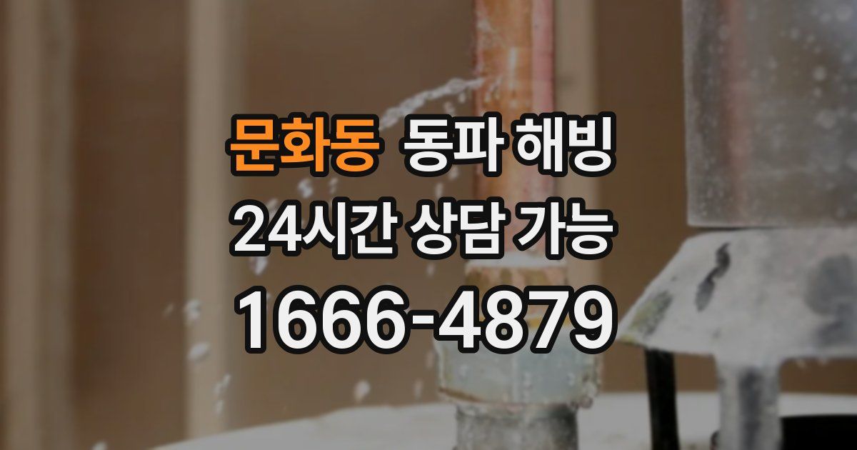 문화동 동파 해빙