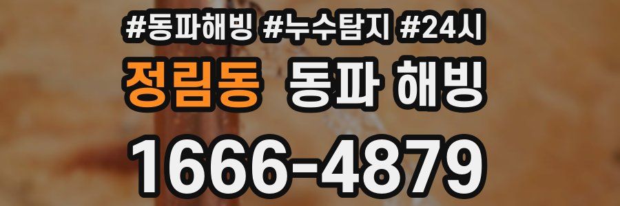 정림동 동파