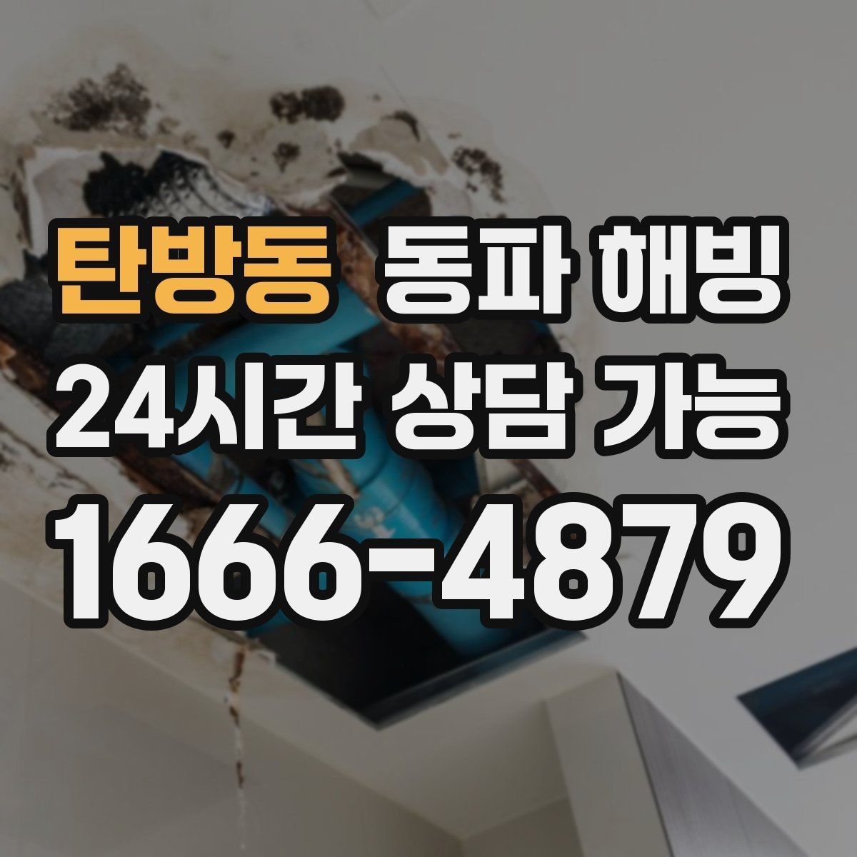 탄방동 동파 해빙 비슷한 증상인데 원인이 다른 경우 정리