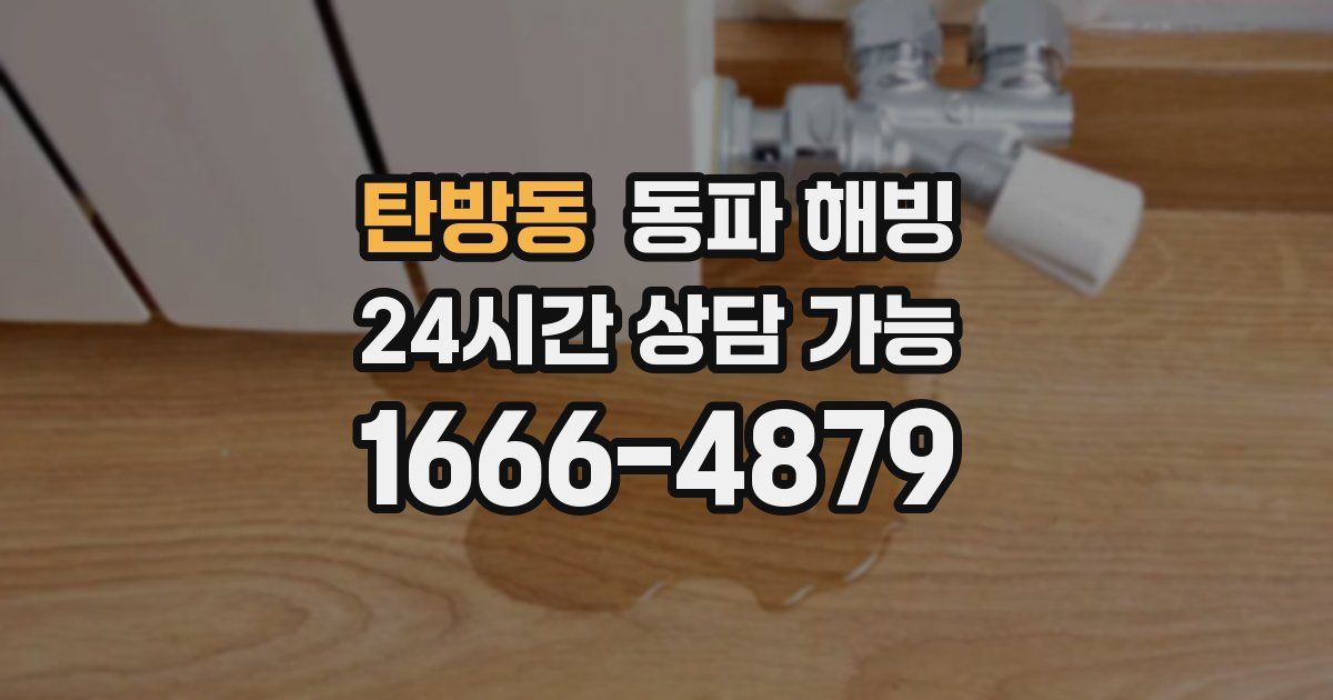 탄방동 동파 해빙