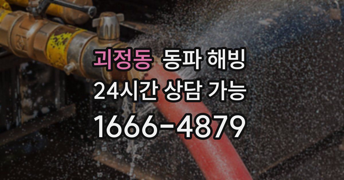 괴정동 동파 해빙