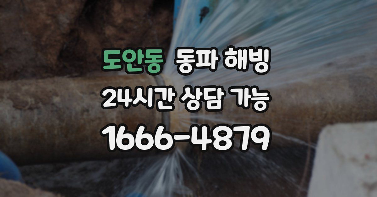 도안동 동파 해빙