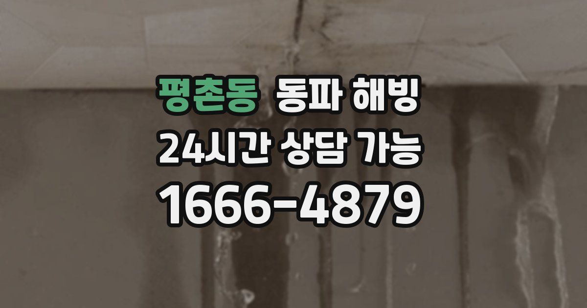 평촌동 동파 해빙