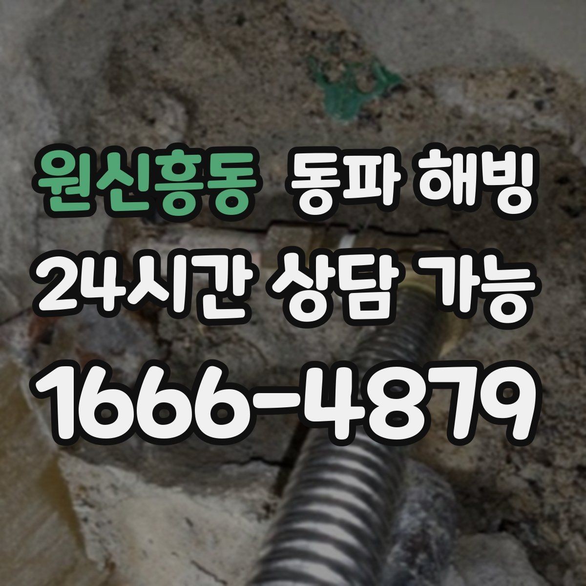 원신흥동 동파 해빙 카페 주방 물 안 나올 때 점검 포인트