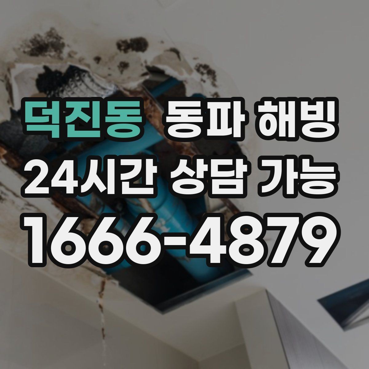 덕진동 동파 해빙 마당 수도만 막히는 결빙 패턴 정리