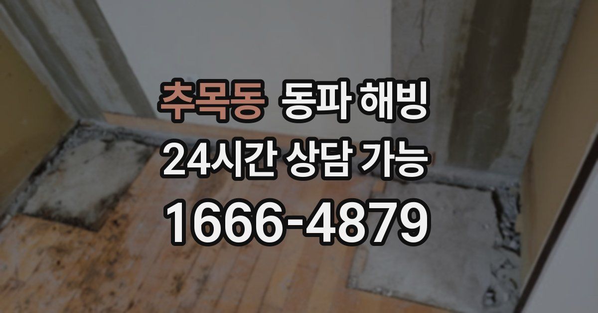 추목동 동파 해빙