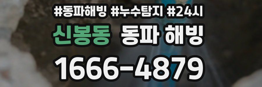 신봉동 동파
